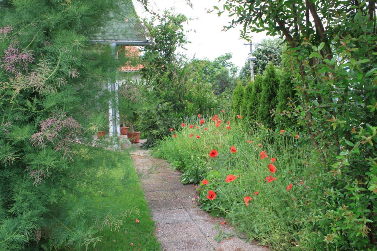 Boulevard Garden House - Free And Save Parking In The Locked Yard Ćuprija Eksteriør bilde